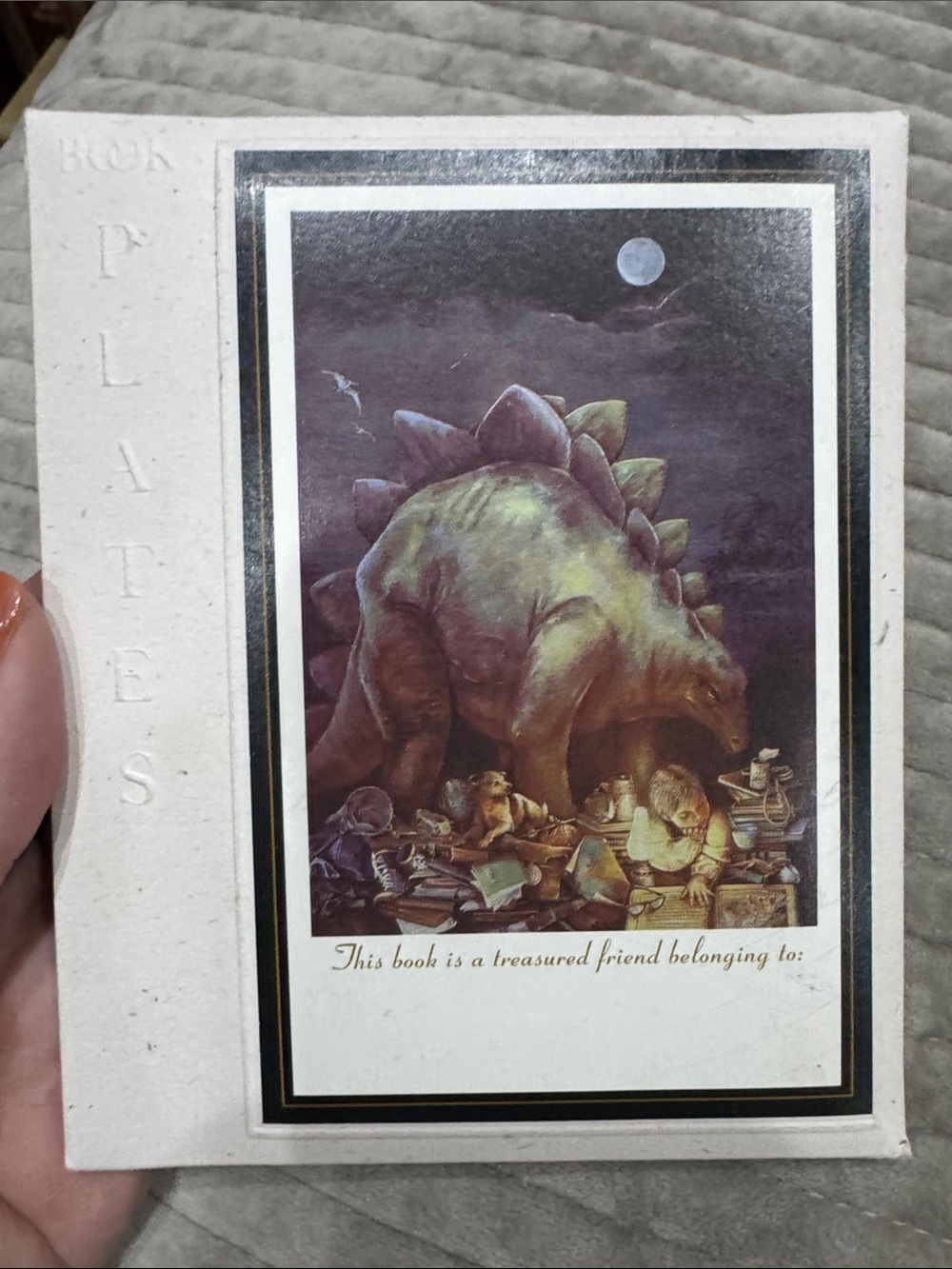 Dinosaur Illustration Pet Reptile Bookplate - set of 19